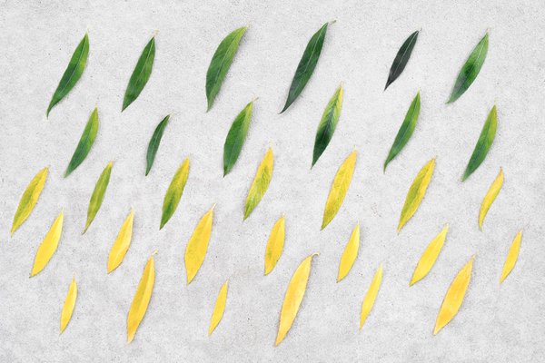 comment réussir une transition vers un emploi à temps partiel